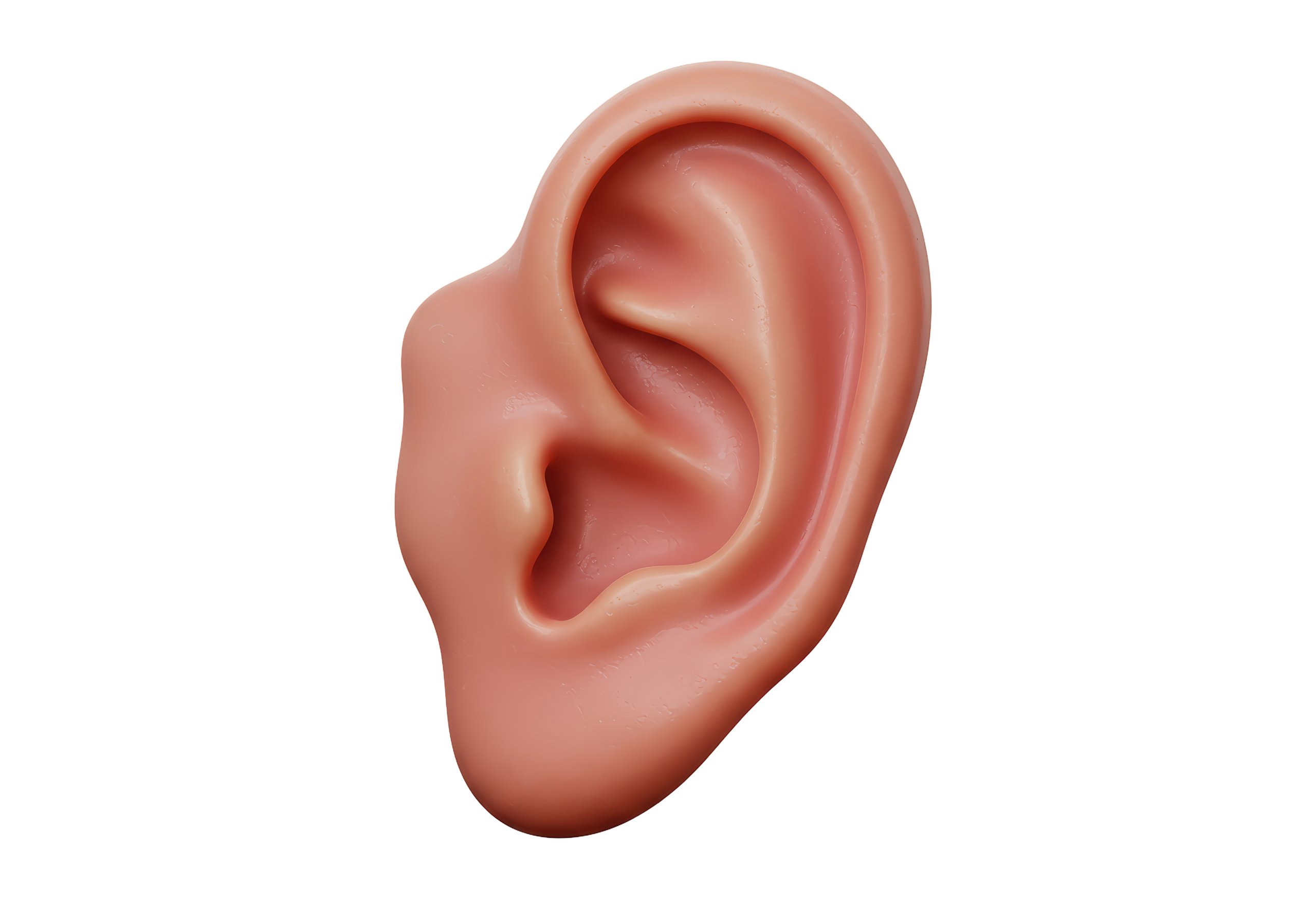 Ear anatomy illustration for ear wax removal reference
